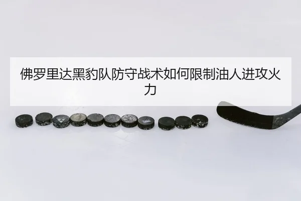 fu-luo-li-da-hei-bao-dui-fang-shou-zhan-shu-ru-he-xian-zhi-you-ren-jin-gong-huo-li-2-628.jpg